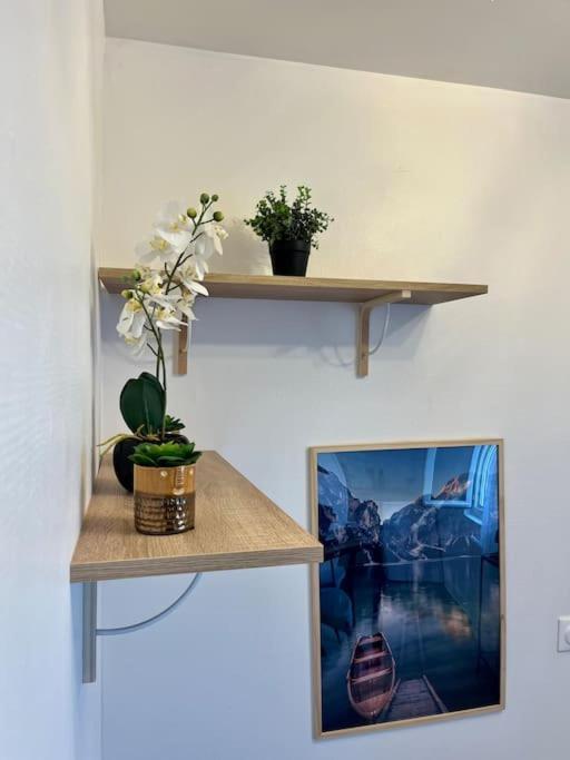 Duplex A 5 Min De La Gare-dabnb Apartment
